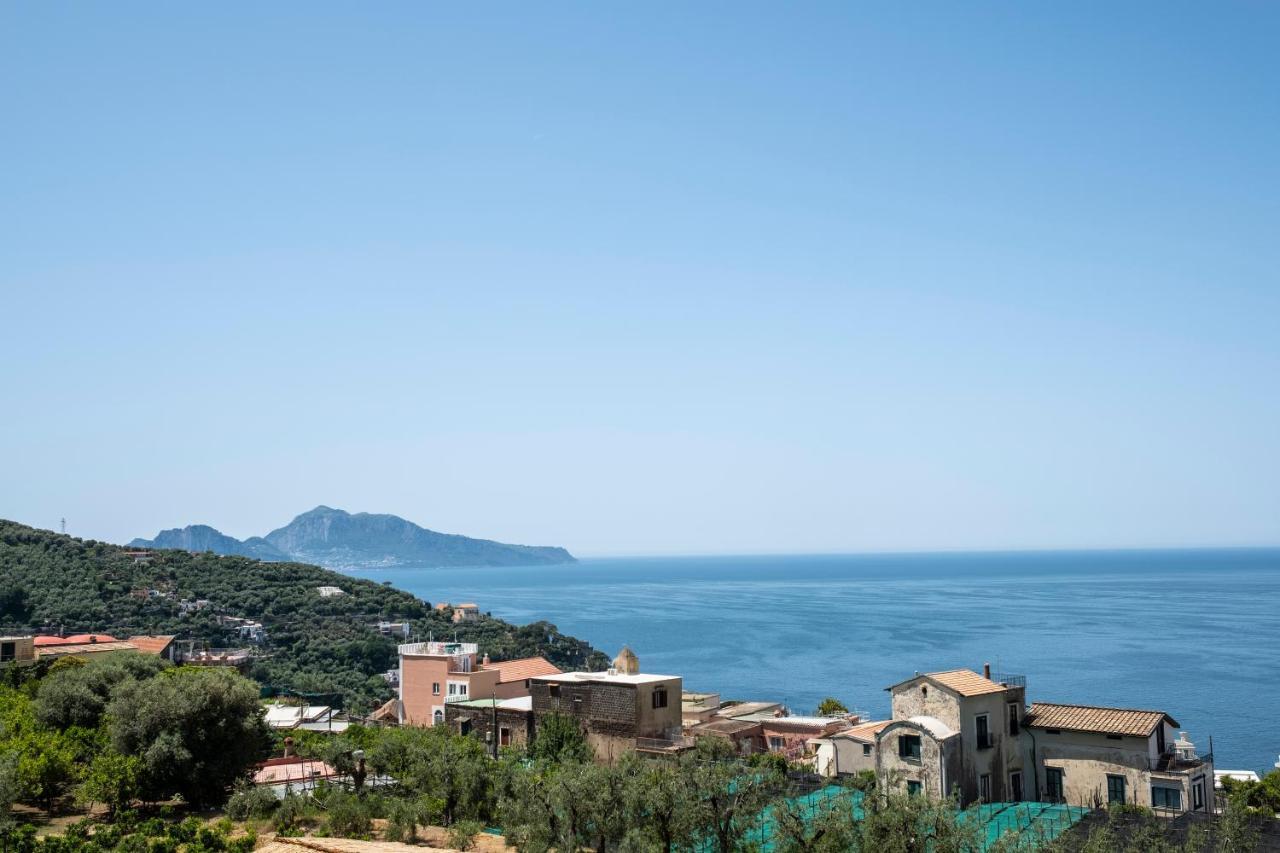 Neva Suites Massa Lubrense Sorrento Coast Kültér fotó