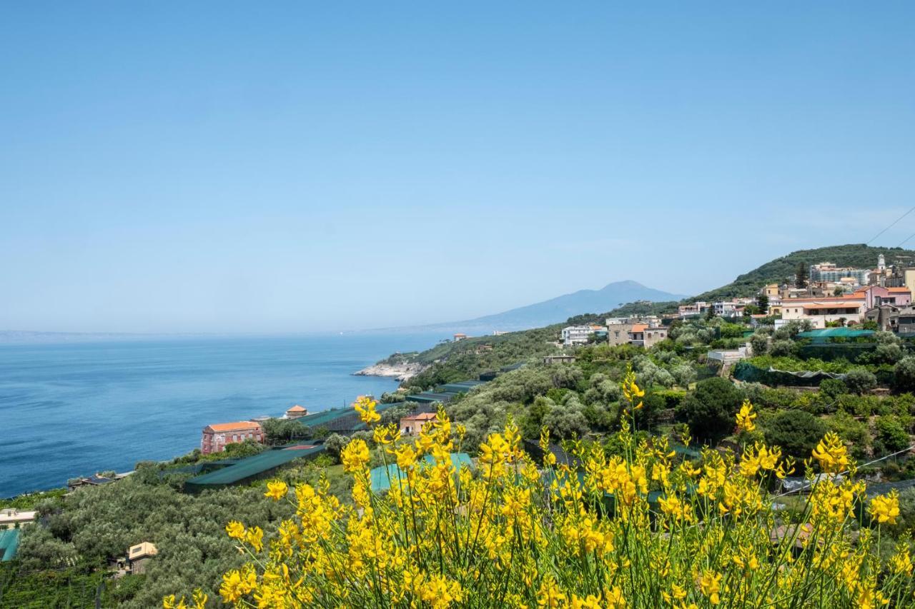 Neva Suites Massa Lubrense Sorrento Coast Kültér fotó